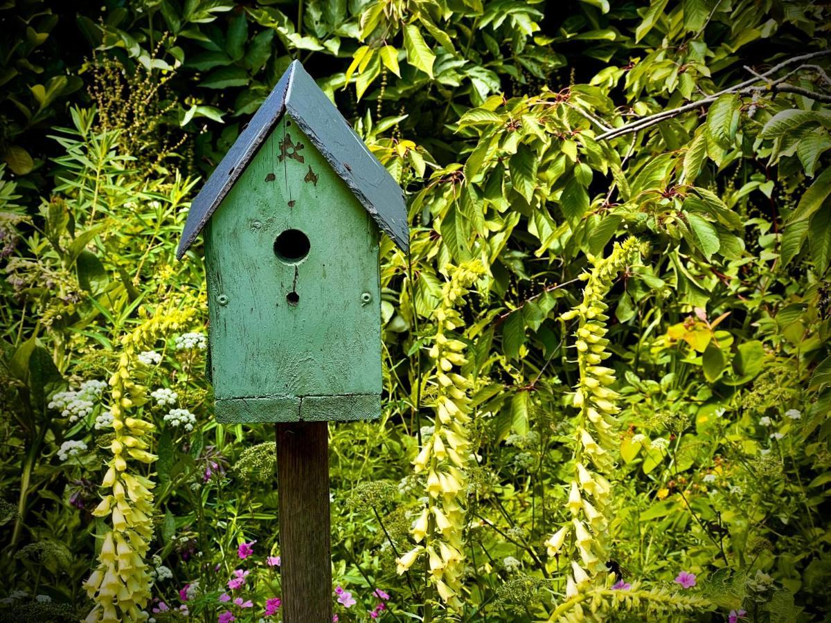 Bed & Breakfast Farm Milton Keynes