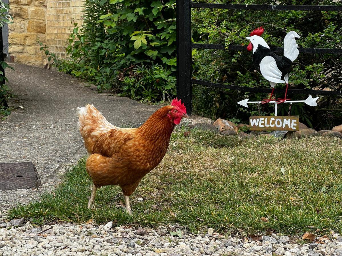 Farm 3* Milton Keynes