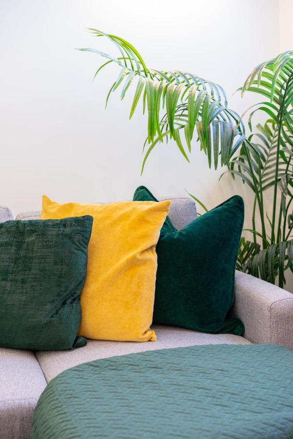 Apartamento Elegant 3