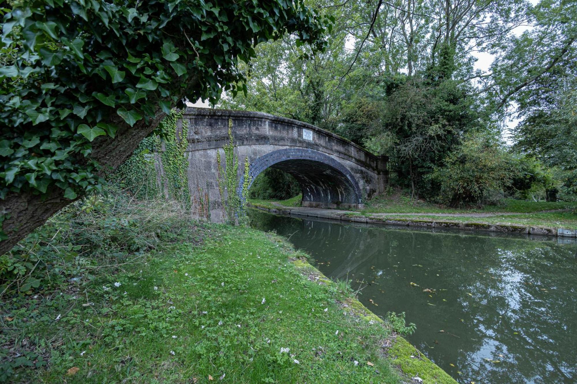 Hornbeam Court -