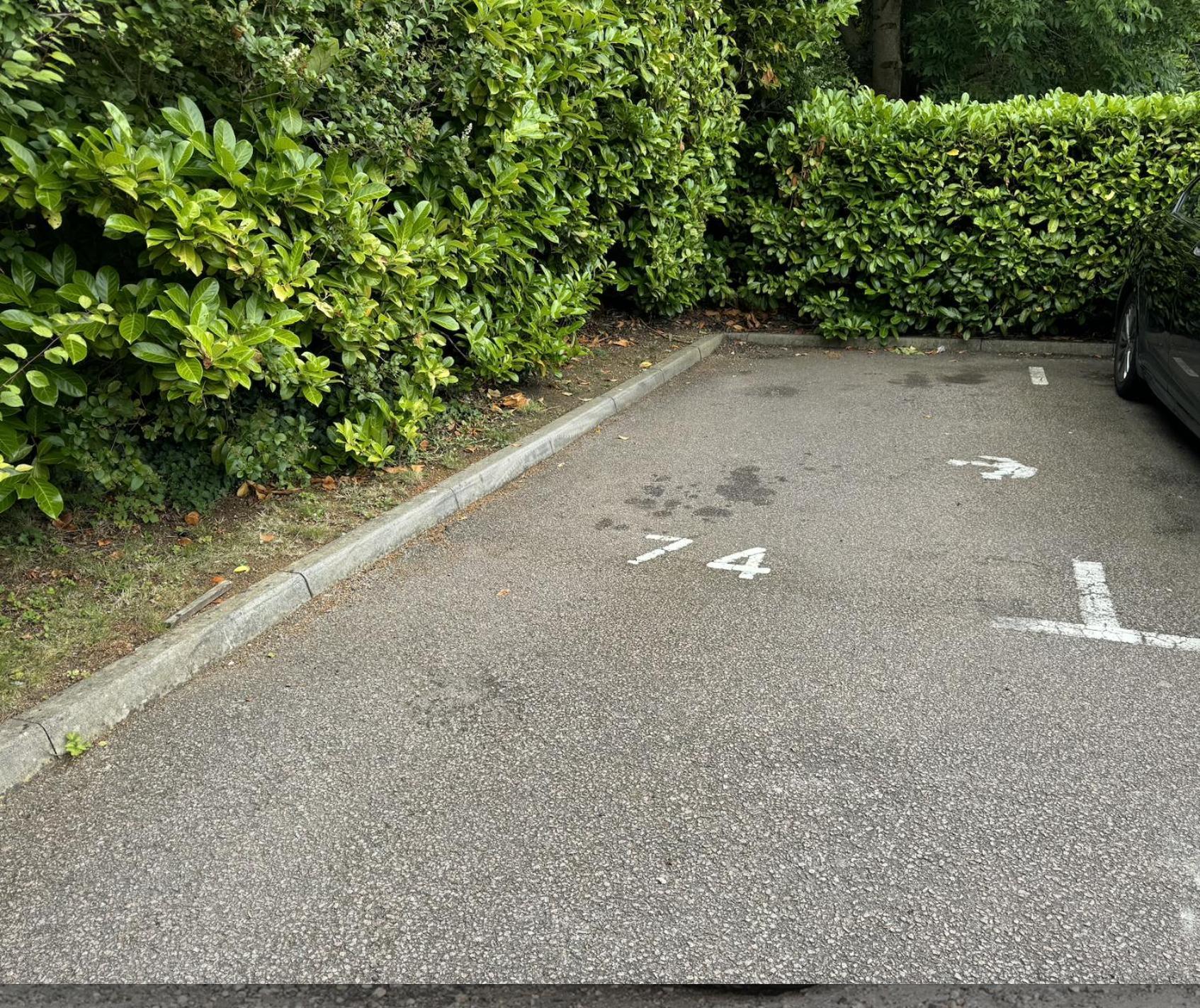 The Modern - 2 Bed 1 Bath Private Parking *
