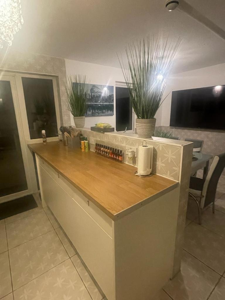 Fijans Cozy Quarters Guest house