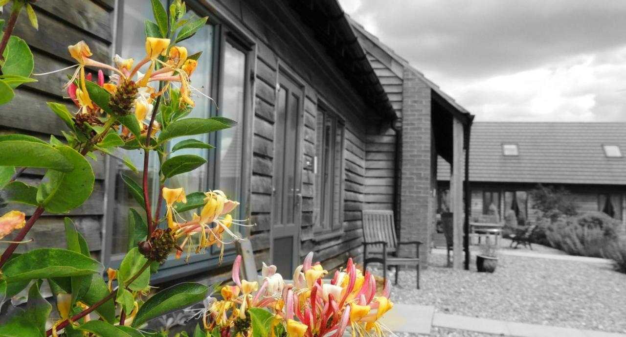 Elm Tree Farm