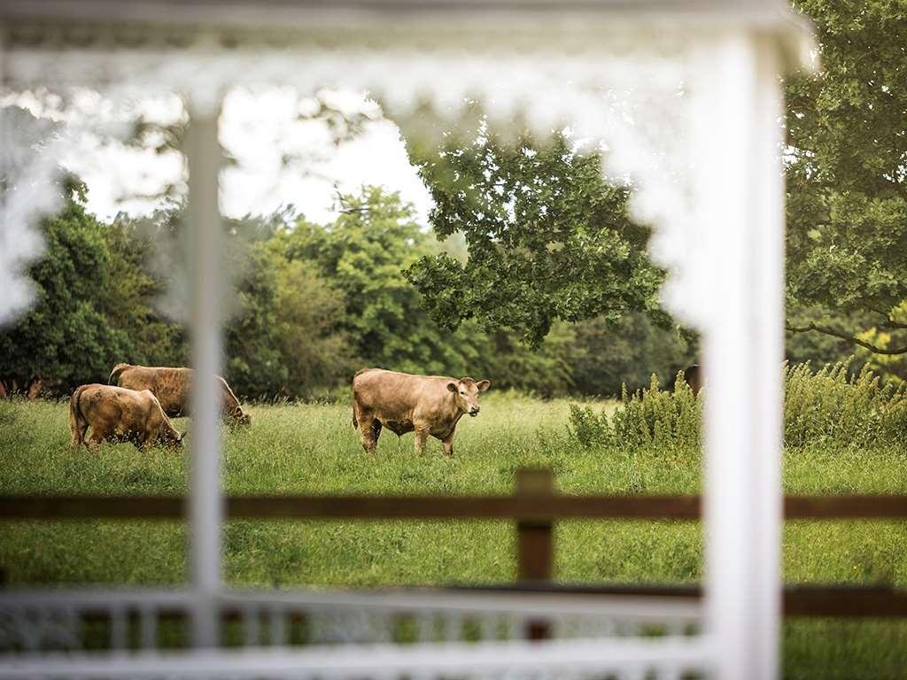 Worldhotels Distinctive Woughton House Hotel