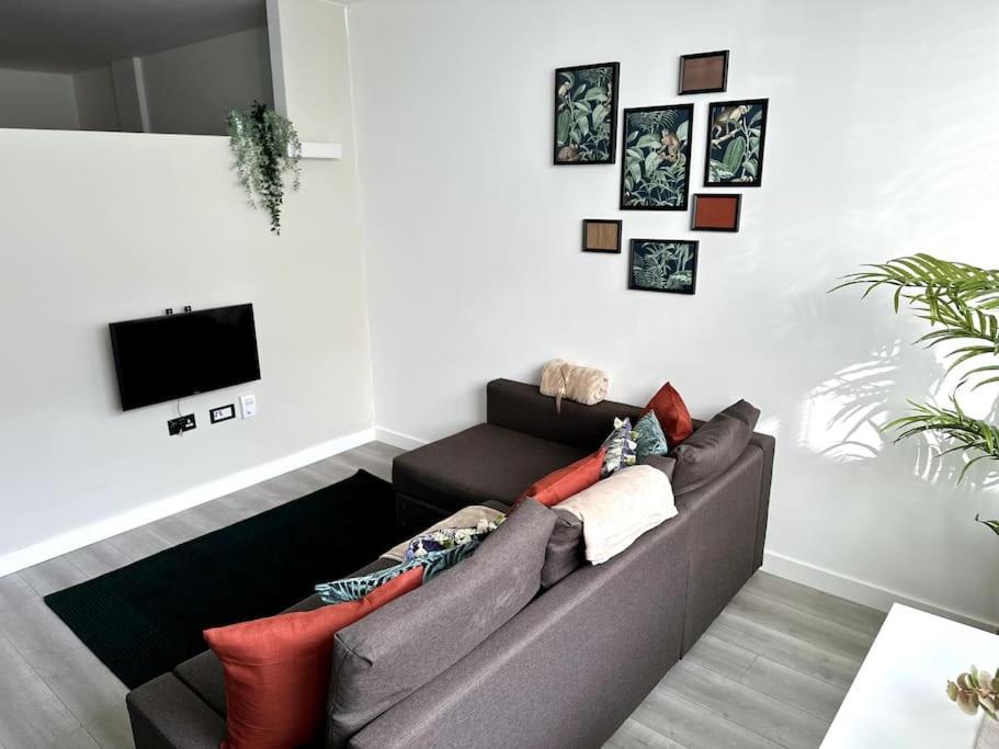 Studio In Apartment