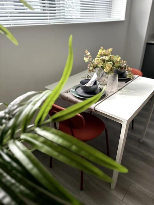 Studio In Apartment *