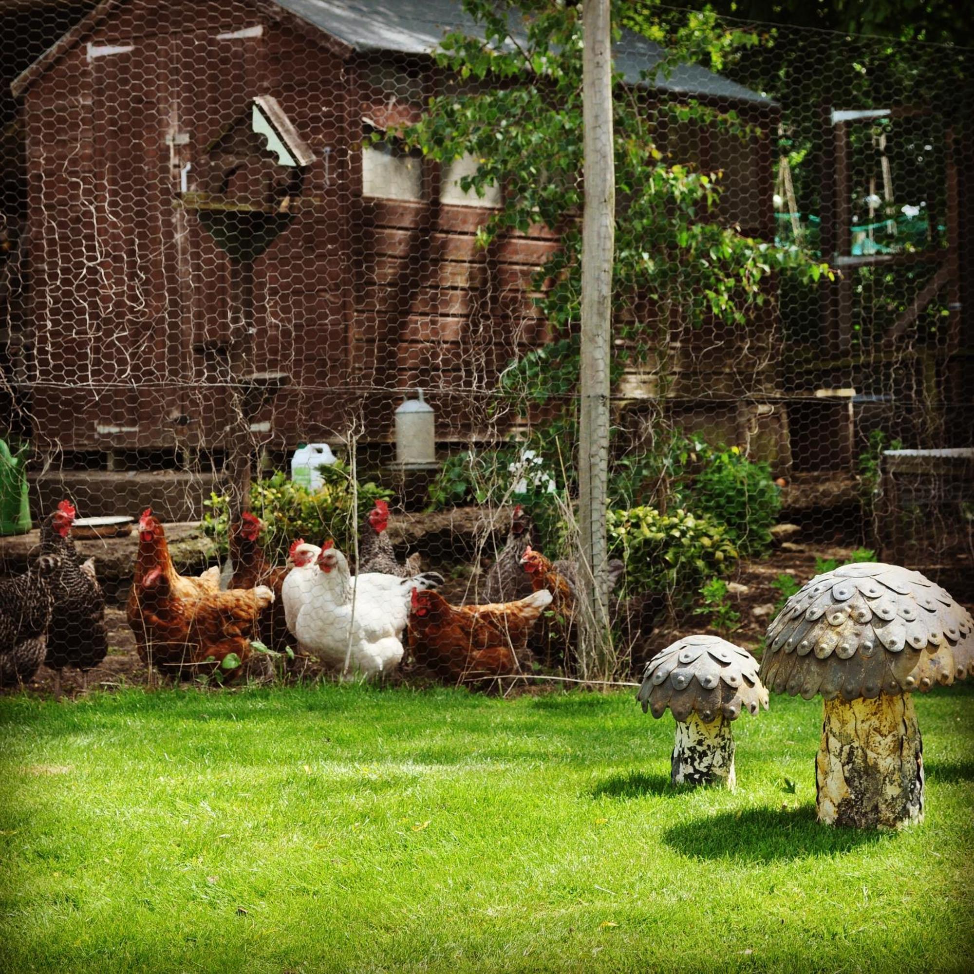 Bed & Breakfast Farm 3*