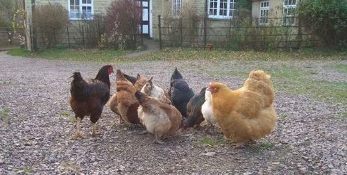 Farm Bed & Breakfast Milton Keynes