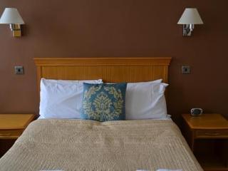 Inn Swan Revived 3*